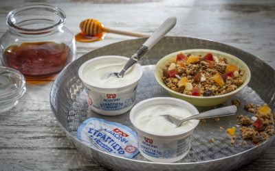 Dodoni grčki jogurt sa medom i orasima
