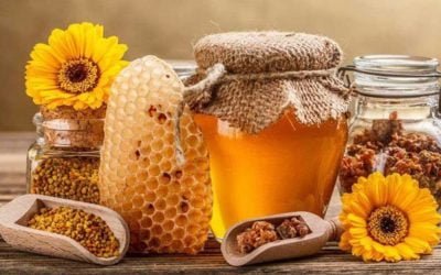 Borov med kao prirodni lek za zdrava pluća